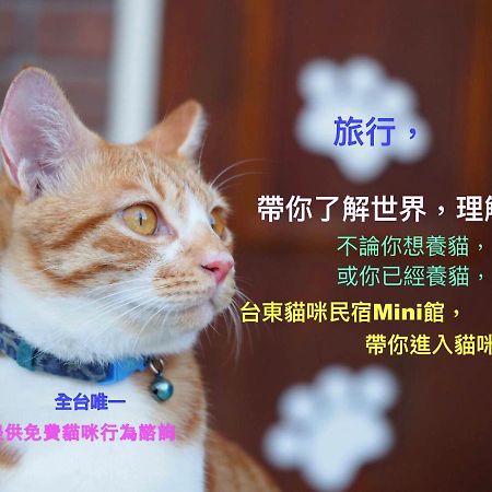 貓咪民宿mini館-中午即可入房 T'ai-tung Extérieur photo