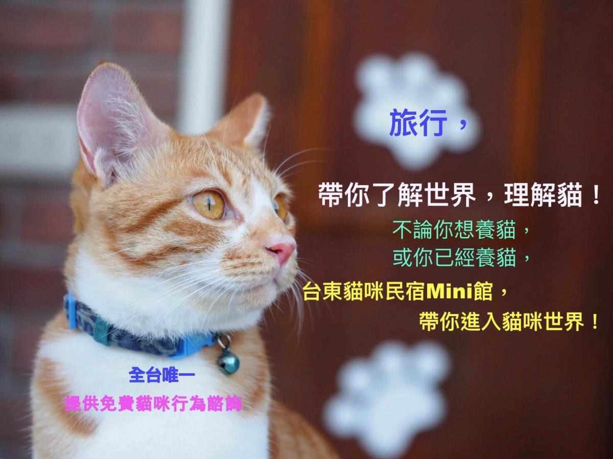 貓咪民宿mini館-中午即可入房 T'ai-tung Extérieur photo