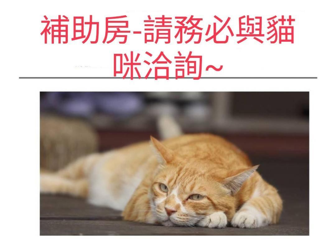 貓咪民宿mini館-中午即可入房 T'ai-tung Extérieur photo